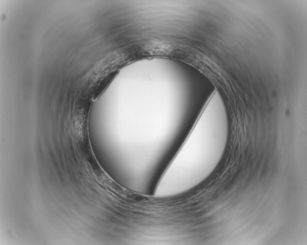 X0000088070604200705110939