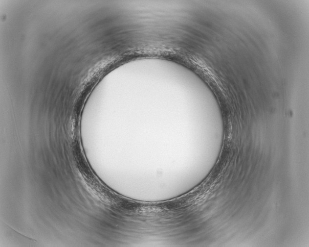 X0000088070636200705110938