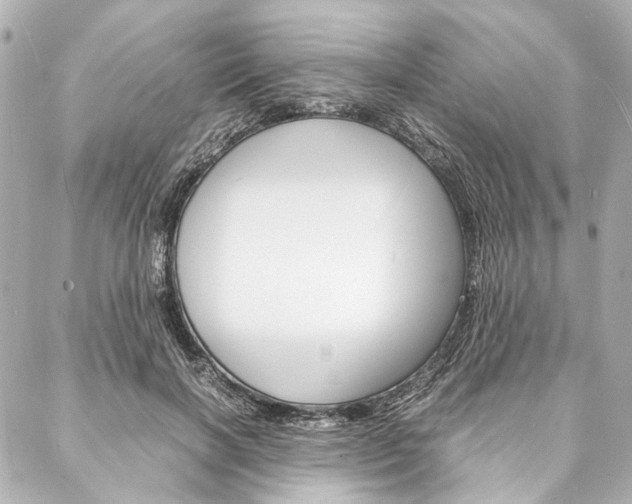 X0000088070646200705110938
