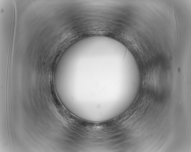 X0000088070647200705110938