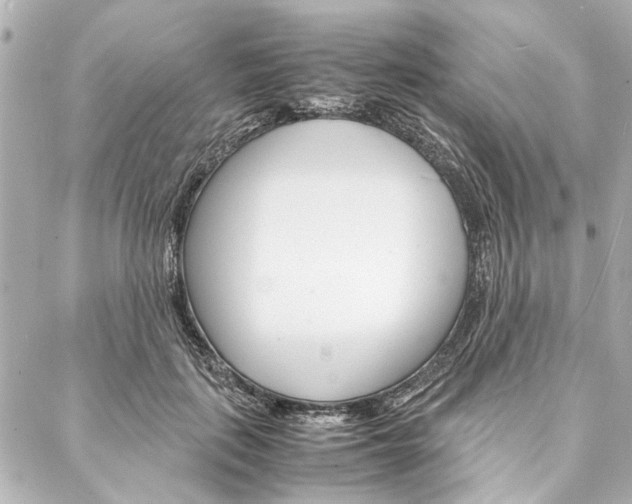 X0000088070651200705110938
