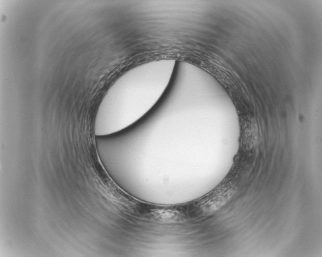 X0000088070654200705110938
