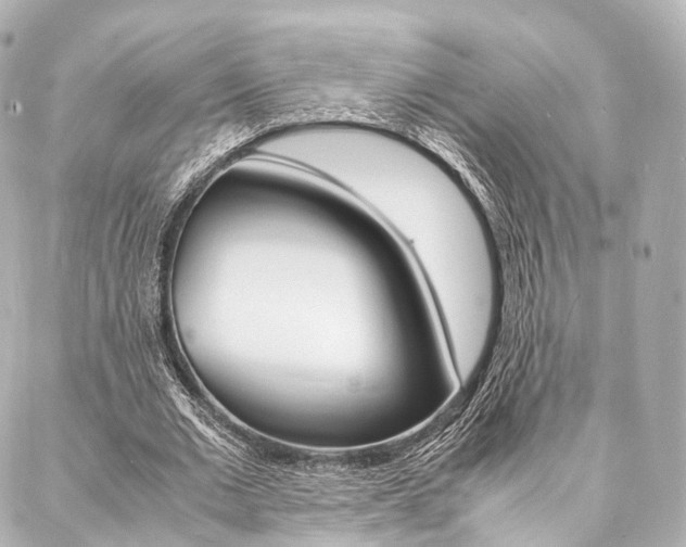 X0000088070677200705110938