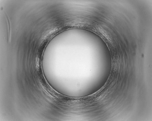 X0000088070692200705110938
