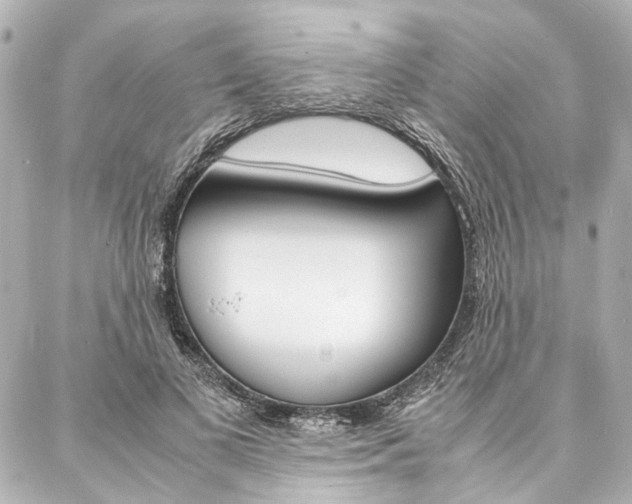 X0000088070693200705110938