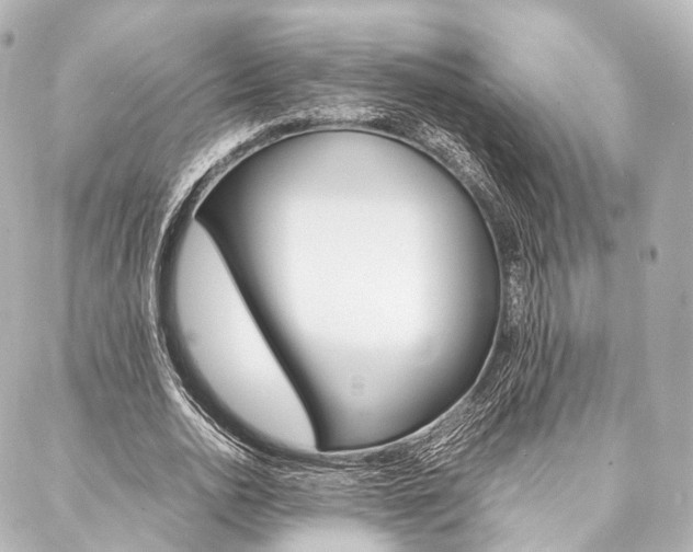 X0000088070726200705110936