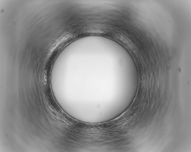 X0000088070731200705110936