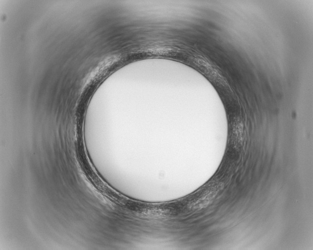 X0000088070734200705110937