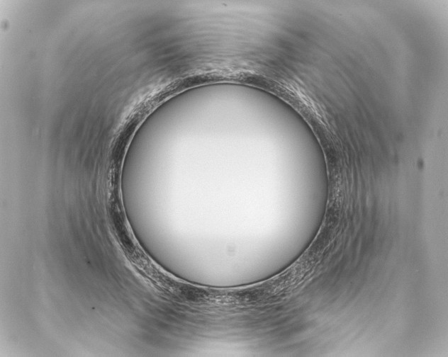 X0000088070736200705110937