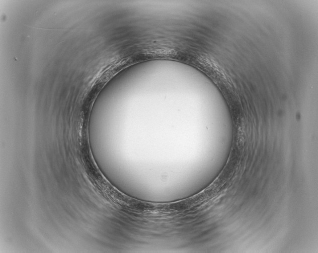 X0000088070739200705110937