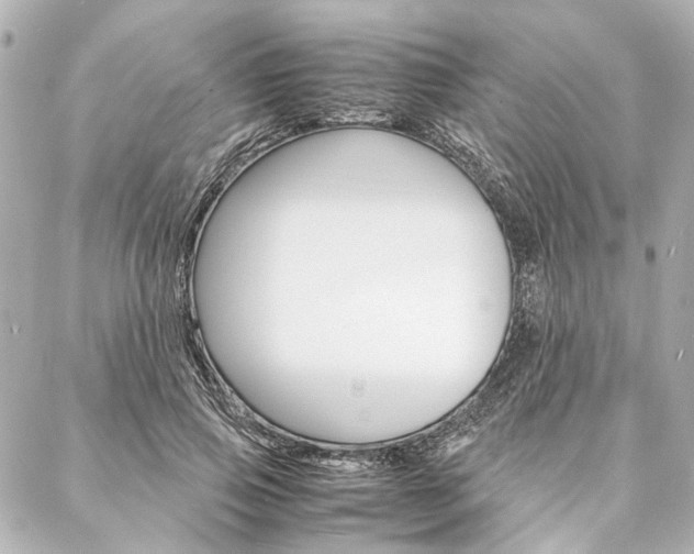 X0000088070741200705110937