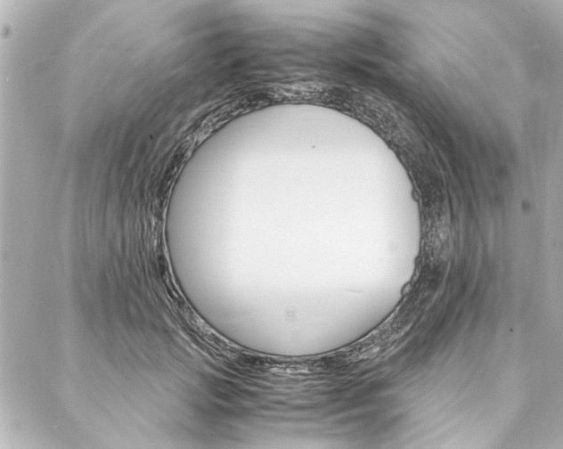 X0000088070749200705110937