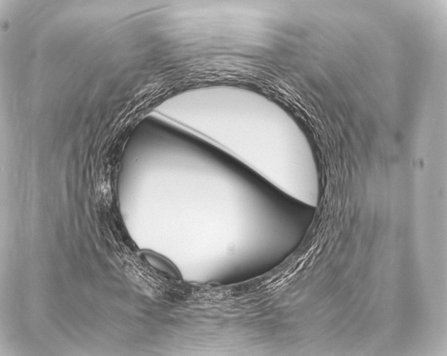 X0000088070771200705110936