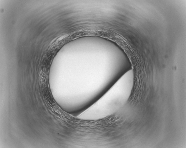 X0000088070773200705110936