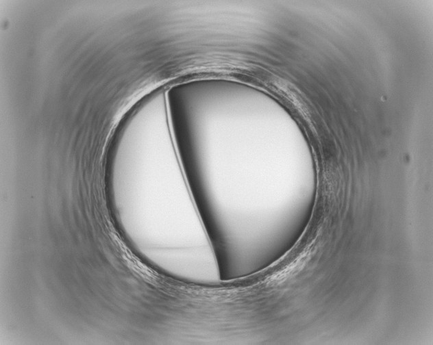 X0000088070779200705110936