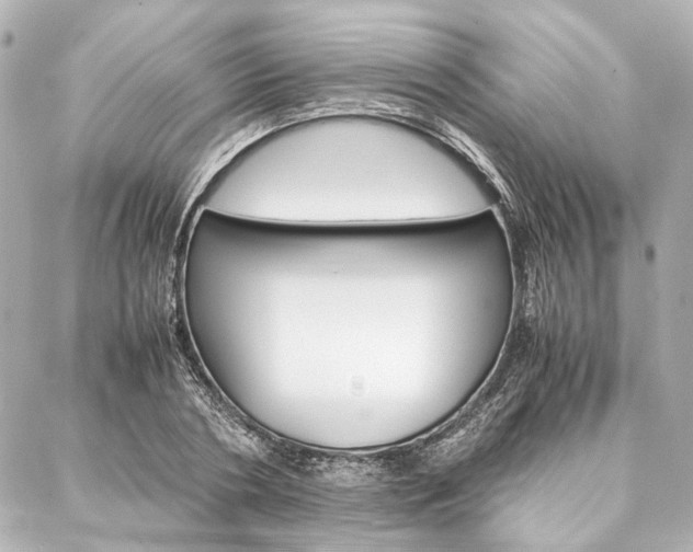 X0000088070786200705110936