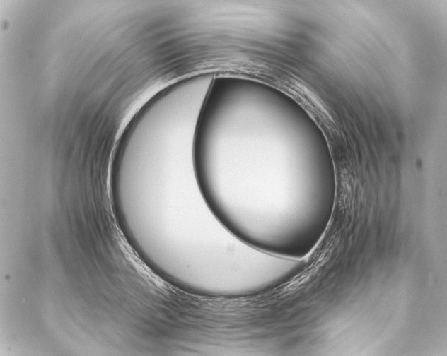X0000088070788200705110936