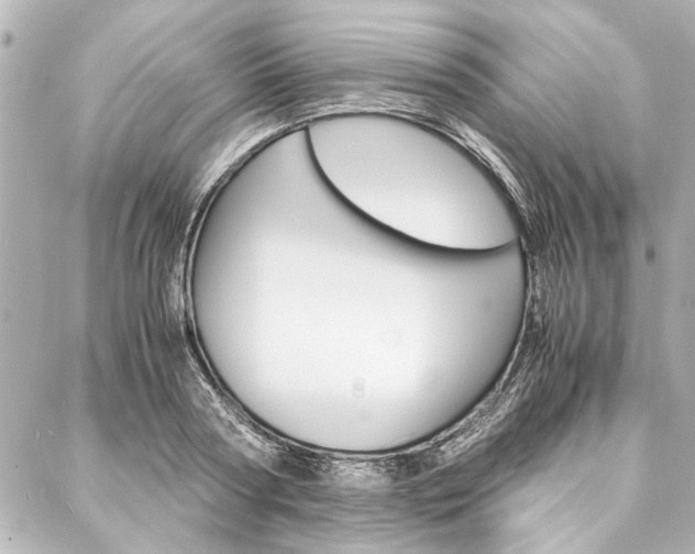 X0000088070794200705110936
