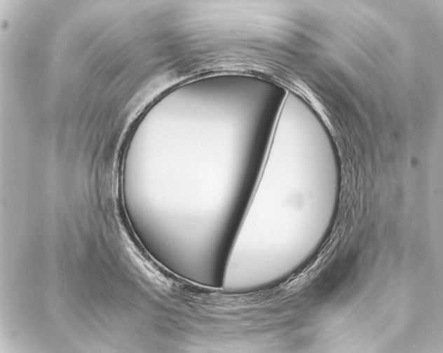 X0000088070795200705110936