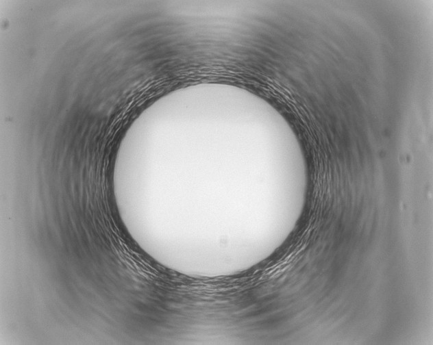 X0000088070818200705110935