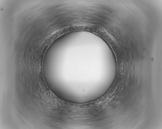 X0000088070821200705110935