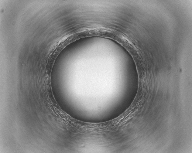 X0000088070822200705110935
