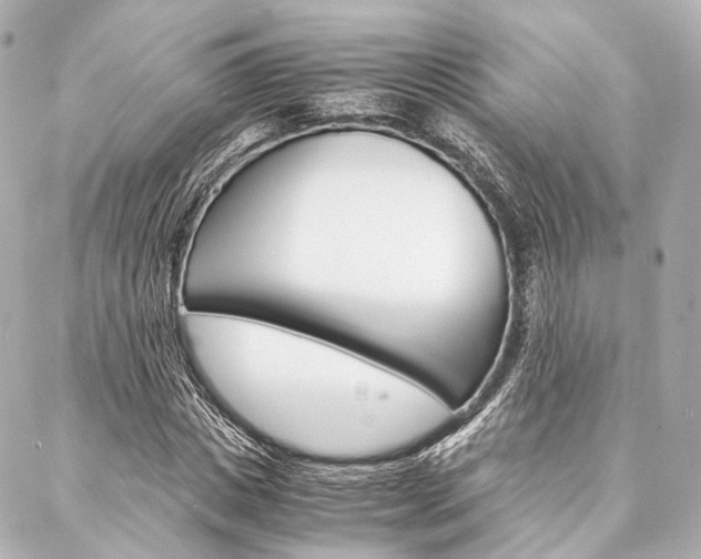 X0000088070825200705110935