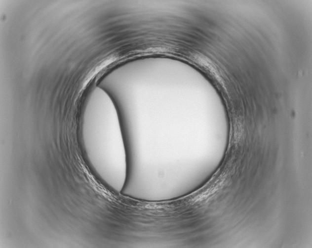 X0000088070827200705110935
