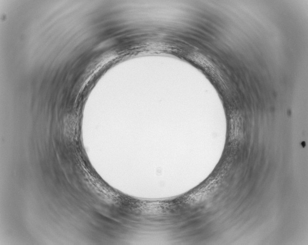 X0000088070828200705110935