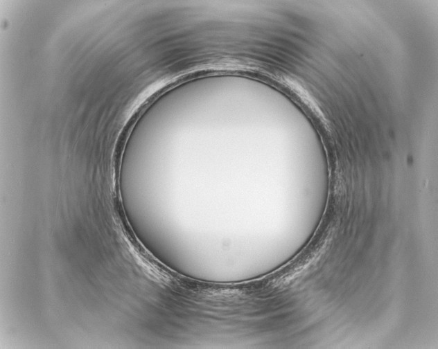X0000088070837200705110935