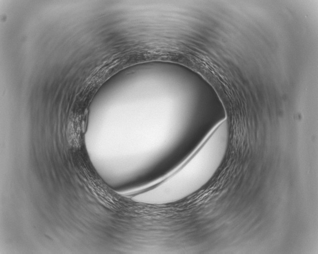 X0000088070868200705110935