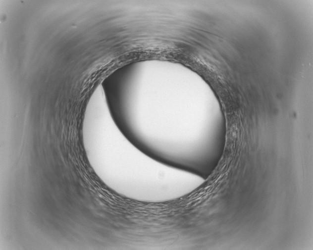 X0000088070869200705110935
