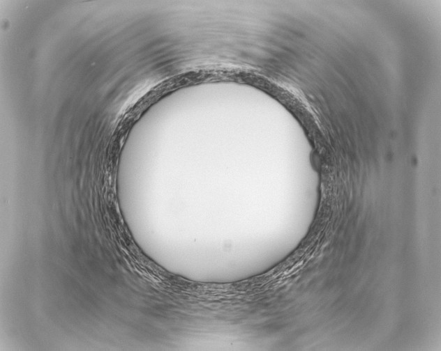 X0000088070871200705110935