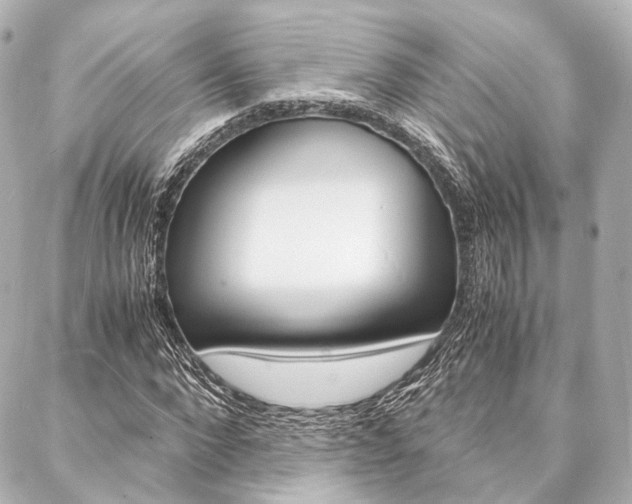 X0000088070872200705110935