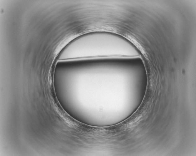 X0000088070885200705110934