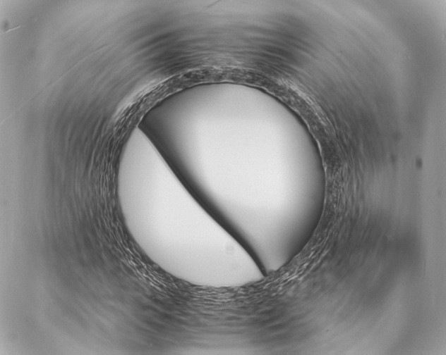 X0000088070919200705110933