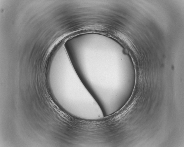 X0000088070923200705110933