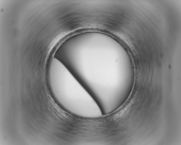 X0000088070927200705110933