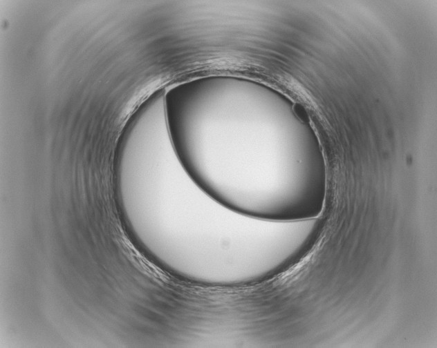 X0000088070930200705110933