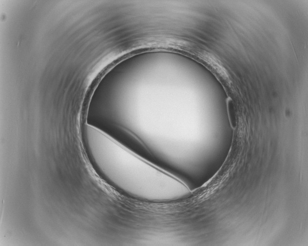 X0000088070936200705110934