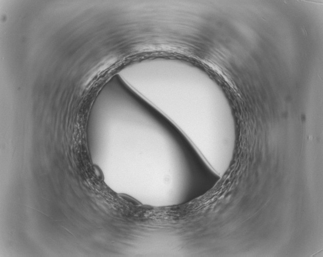X0000088070967200705110933