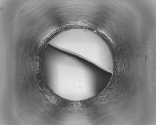 X0000088070968200705110933