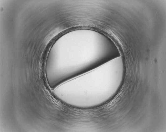 X0000088070975200705110933