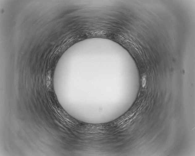 X0000088071011200705110932