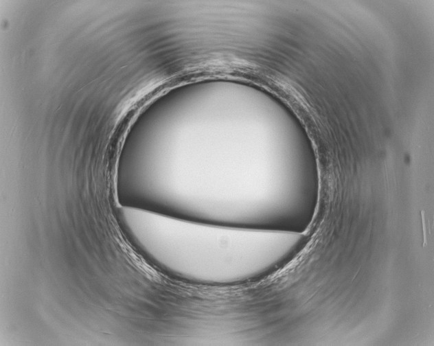 X0000088071018200705110932