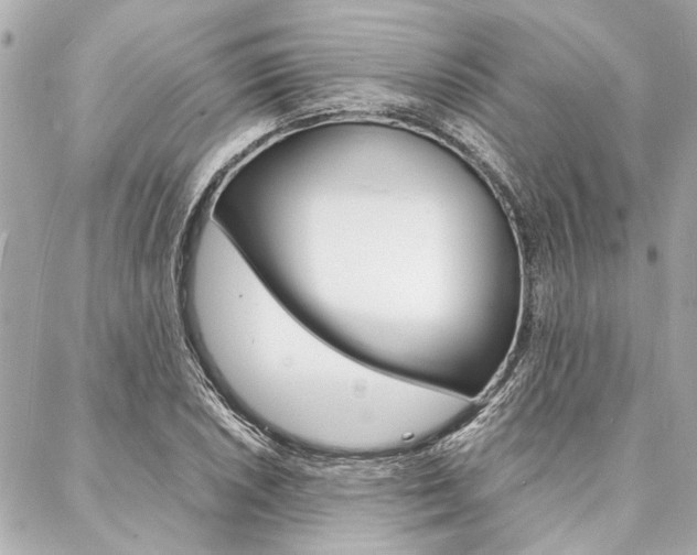 X0000088071026200705110932