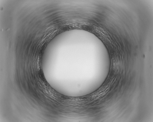 X0000088071060200705110932