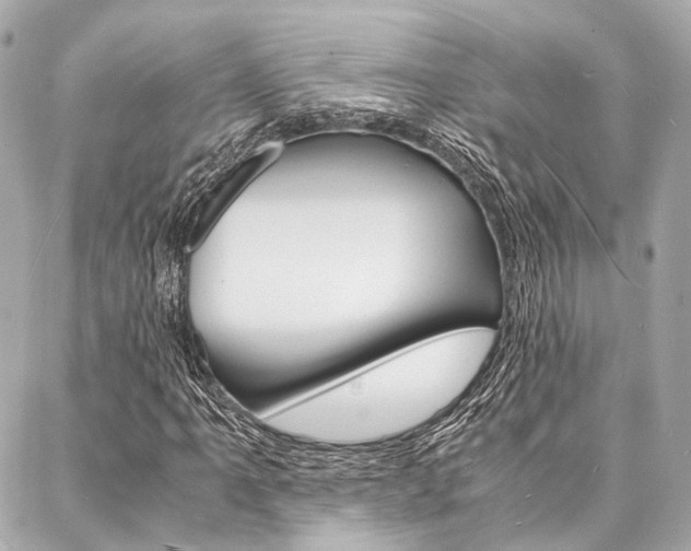 X0000088071061200705110932