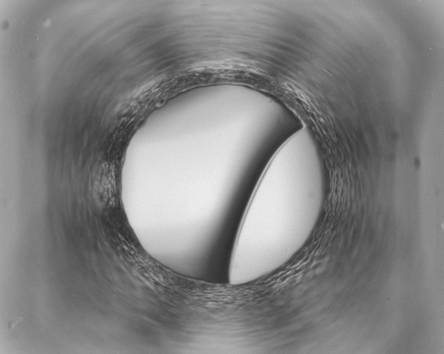 X0000088071062200705110932