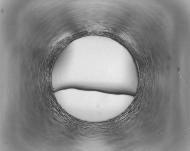 X0000088071063200705110931